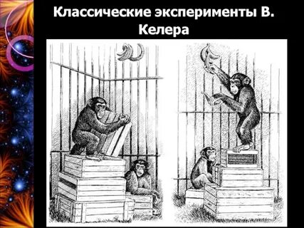 Мышление эксперименты