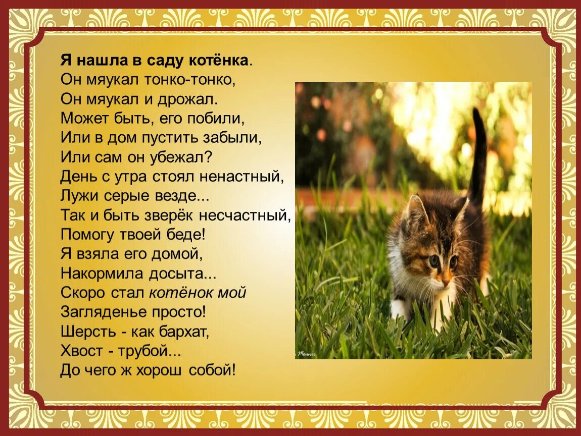 Стих ты меня не любишьне жалеешт. Стихотворение. Плачу слово. Стихотворение меня нашли. Стихи любимому.