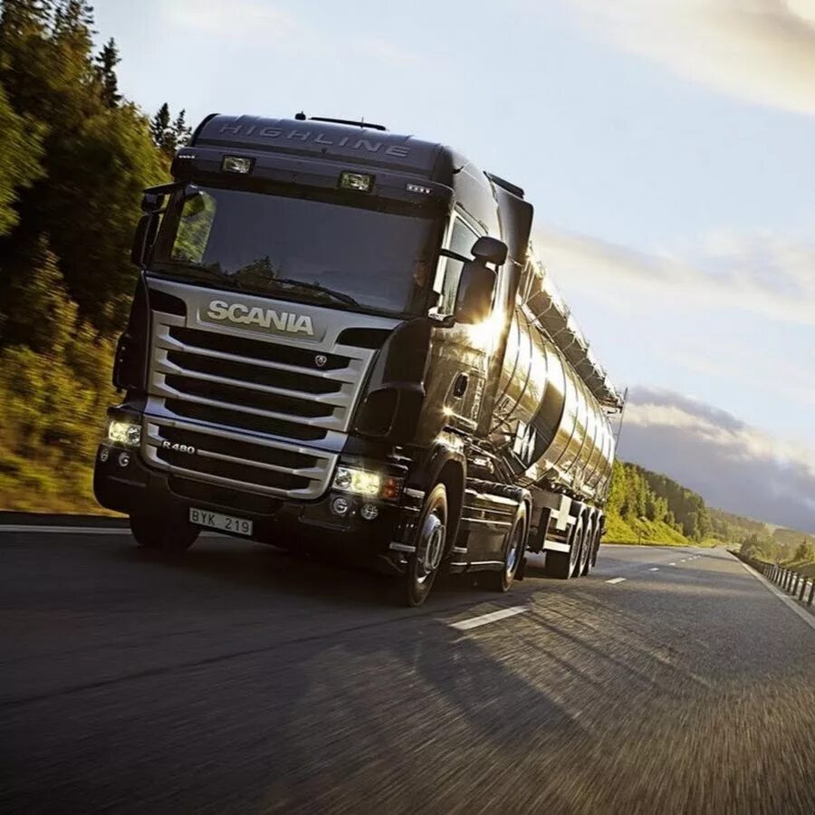 Водитель автобуса. Водитель категории bce. Truck driver. Водитель категории bce. Водитель категории bce.