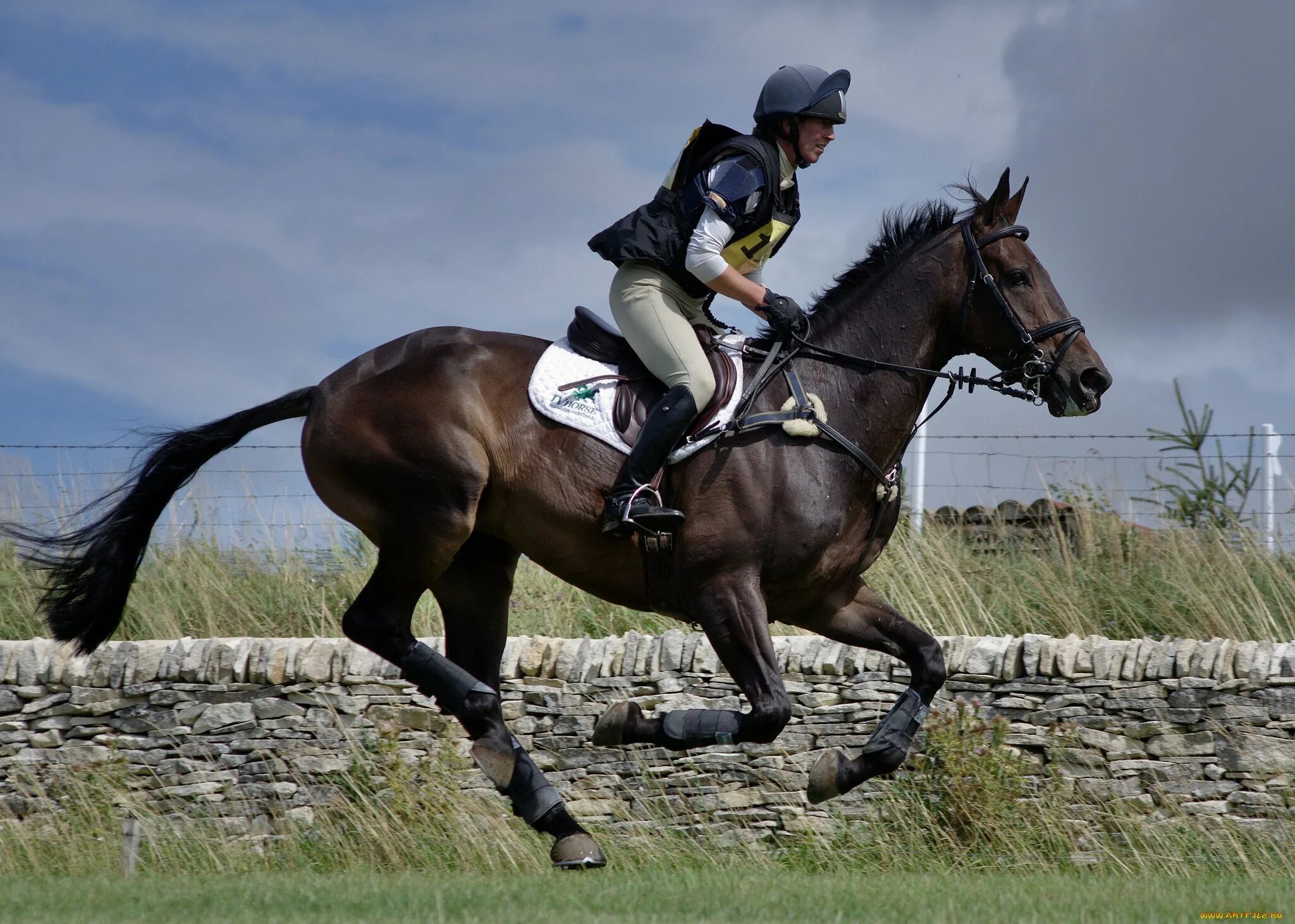 Horse sport. Жокей конный спорт. Фрэнк Хейс жокей. Конкур Иппик.