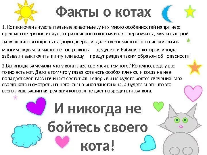 Интересное про котиков