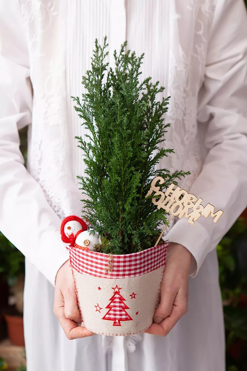 Горшочки на новый год. Новогодний горшок. Подделка горшок новогодний взрослый. Новогодний декор цветочных горшков. Горшочки на новый год.