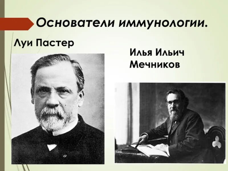 Луи пастер иммунология. Основоположники иммунологии. Пауль эрлих основоположник иммунологии. Основоположники иммунологии. Основоположники иммунологии.