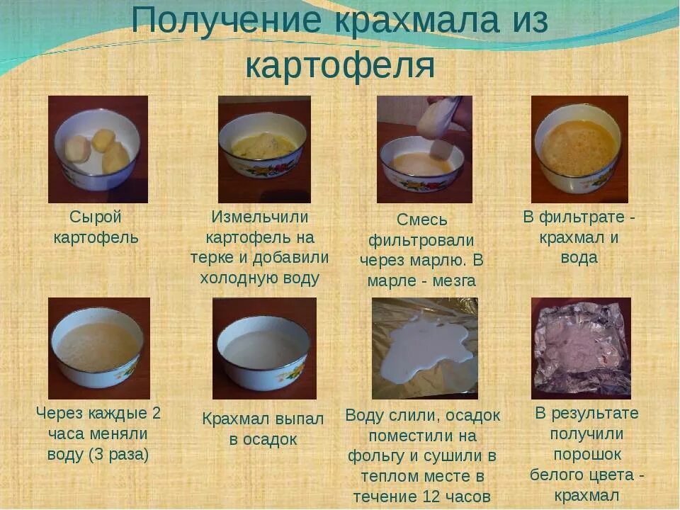 Готовим крахмал. Получение крахмала из картофеля. как получить крахмал из картофеля. как получить крахмал из картофеля в домашних условиях. крахмал как получить из картошки.