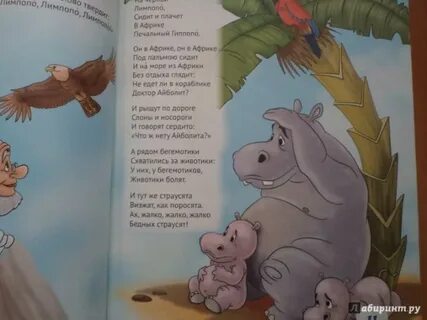 На горе фернандо по где гуляет гиппопо