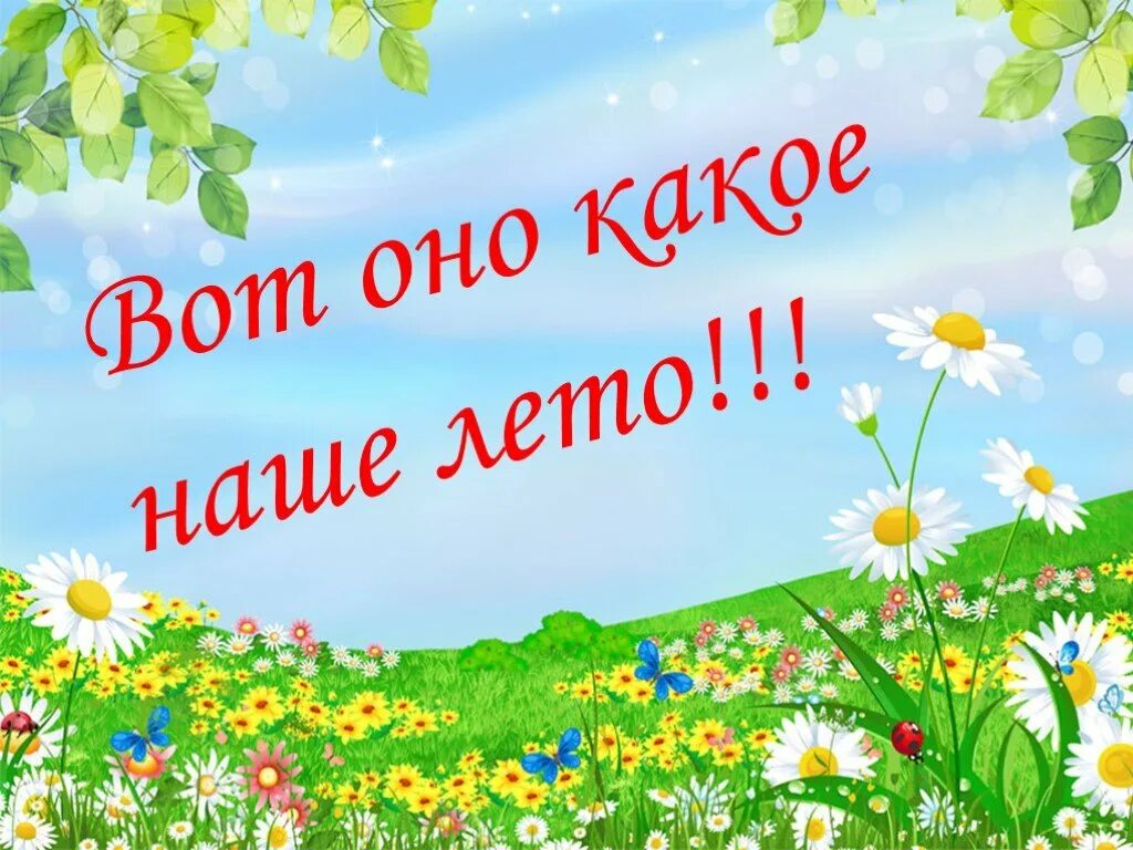 Лето для дошкольников. Лето красное лето безопасное. Лето чудесная пора. Вот оно какое наше лето. Сектор про лето