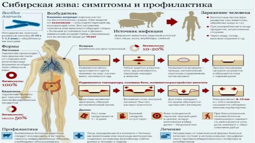можно ли заболеть менингитом от холода