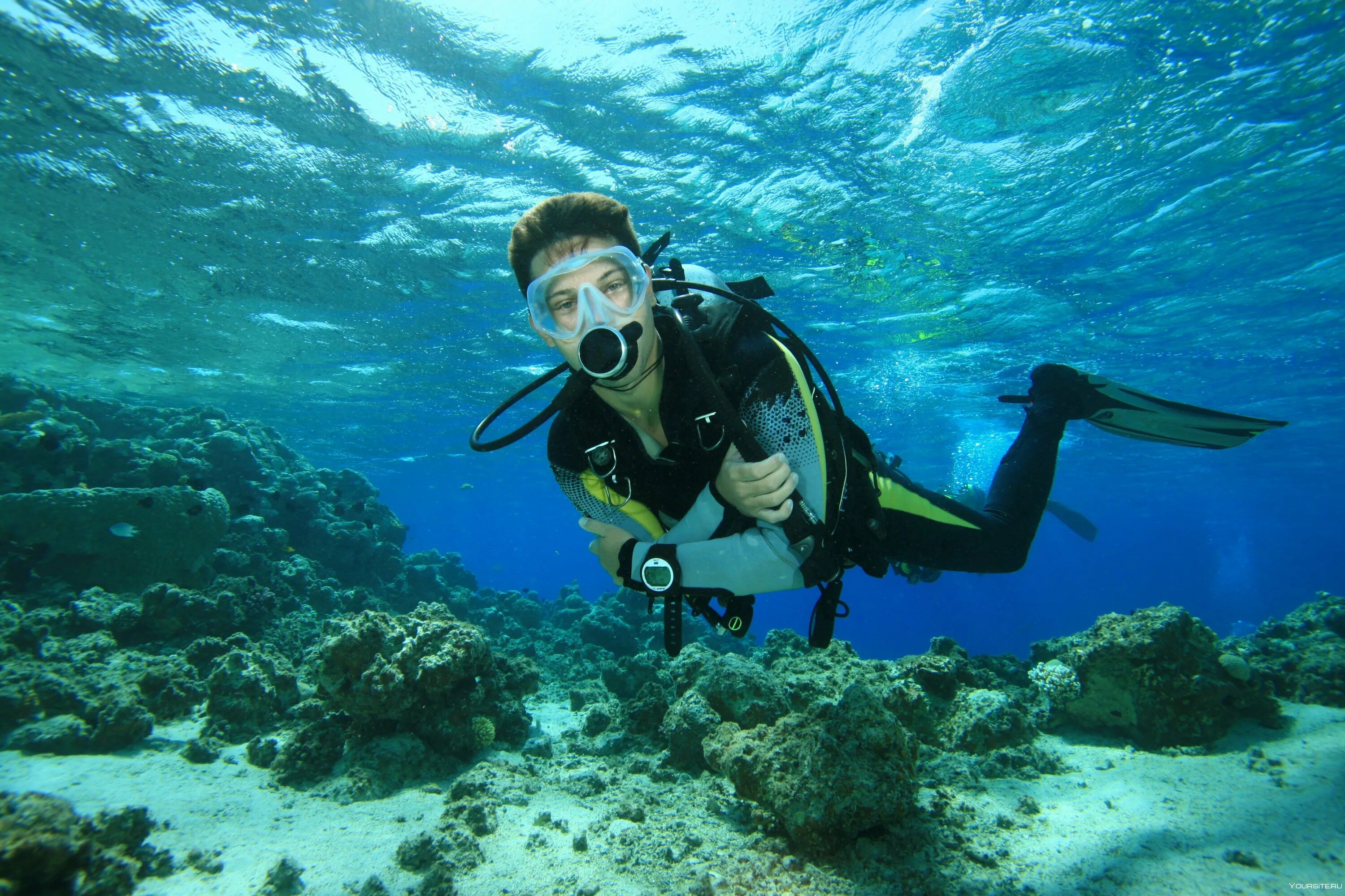 Скуба акваланг. Дайвинг Scuba. Дайвинг (Scuba/Deep Sea Diving). Ланга на аву. Погружение на дно океана