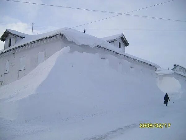 Рыжковская пурга