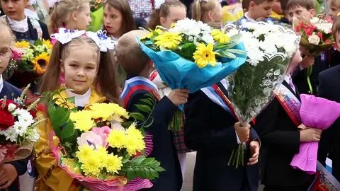 Гимназия 261