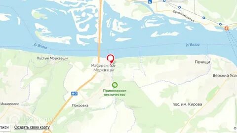 Лесные моркваши