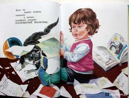 Книга ров