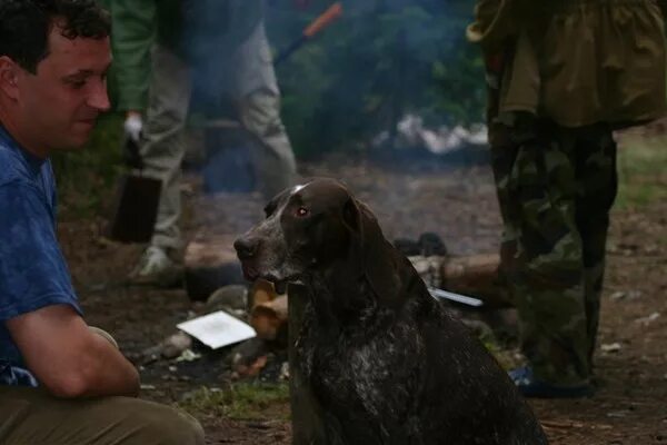 ростов земля вечной охоты