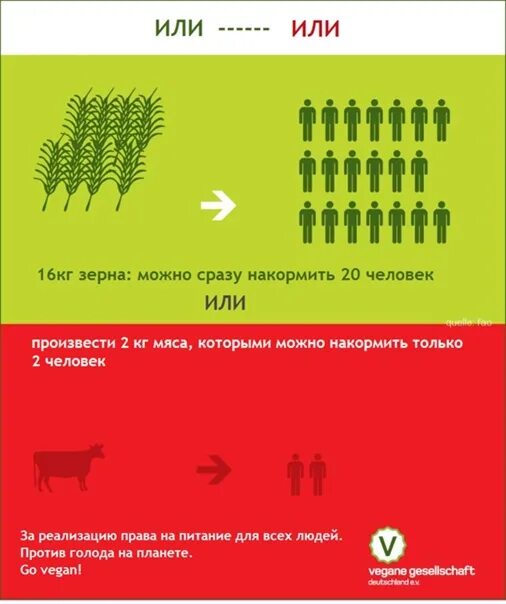 Вегетарианство в мире. Количество вегетарианцев в мире. Экология веганы. Веганы едят мясо