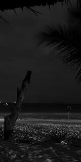 Dark beach speed