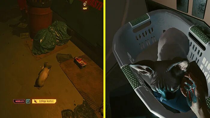 Как приручить кота в киберпанк. Cyberpunk 2077 кот. кот из киберпанк 2077. киберпанк 2077 яйцо игуаны. кошачий корм киберпанк 2077.