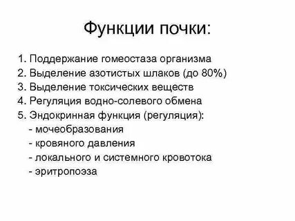 Функции почек в жизни растения