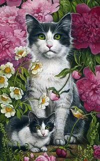 Красивые кошки картины