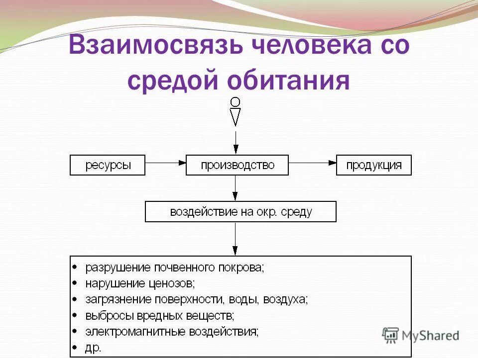 Взаимодействие системы человека среда обитания