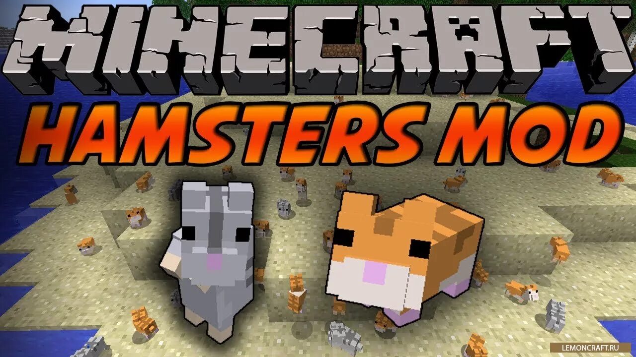 Чит код hamster