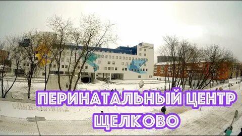 Консультация щелково