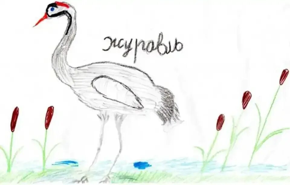 Журавль нарисовать легко. Журавль рисунок. журавли для рисования. журавль рисунок карандашом. журавль поэтапное рисование.