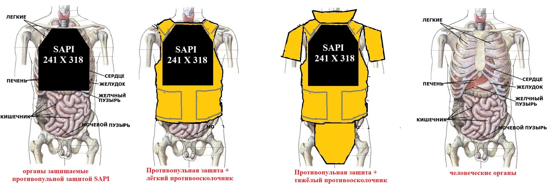 Что находится внутри бронежилета Продам бронеплиты от бронежилета К.... на 29.04.2016
