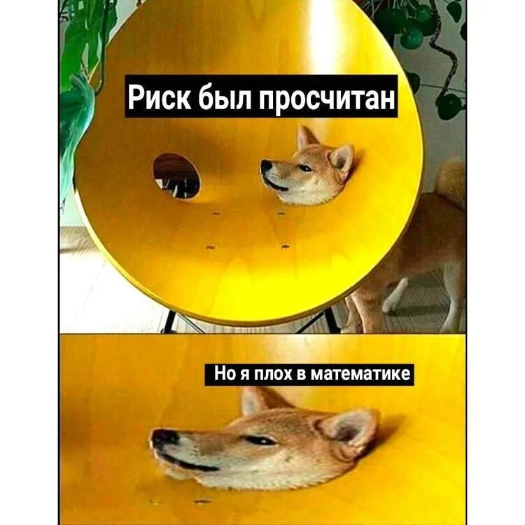 Просчитался но где мем с котом Мем № 1415103 Мем, beauty_foo_ll
