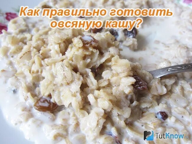 Как правильно приготовить овсяную. Как правильно варить овсянку. как правильно приготовить овсяную кашу. как варить овсяную кашу. как правильно приготовить кашу овсянку.