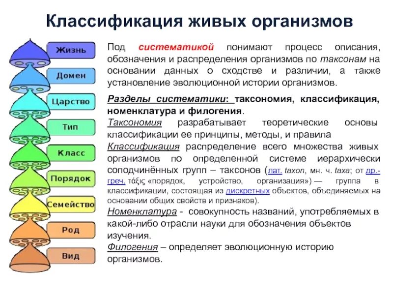 Содержание процесса распределения