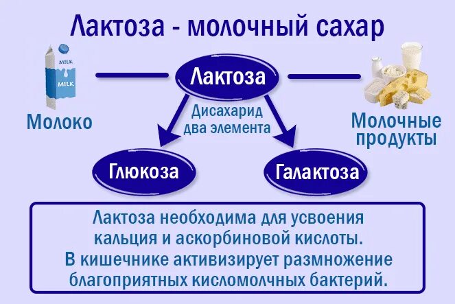 Кисломолочные продукты содержат сахар. Лактоза. Лактоза молочный сахар. Лактоза расщепляется. Безлактозная продукция содержит молочный сахар.