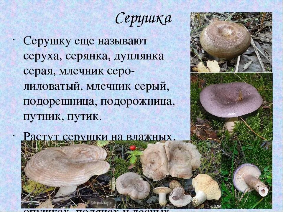 Александр Левинтов: Книга о вкусной и красивой жизни. Небольшая Советская Энцикл