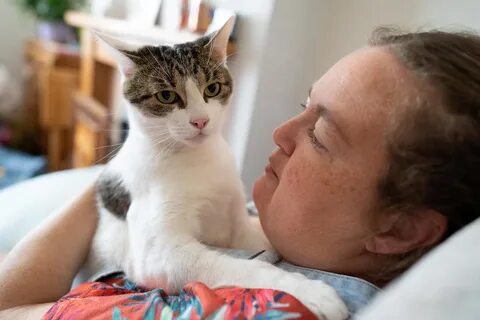 Кот спас жизнь