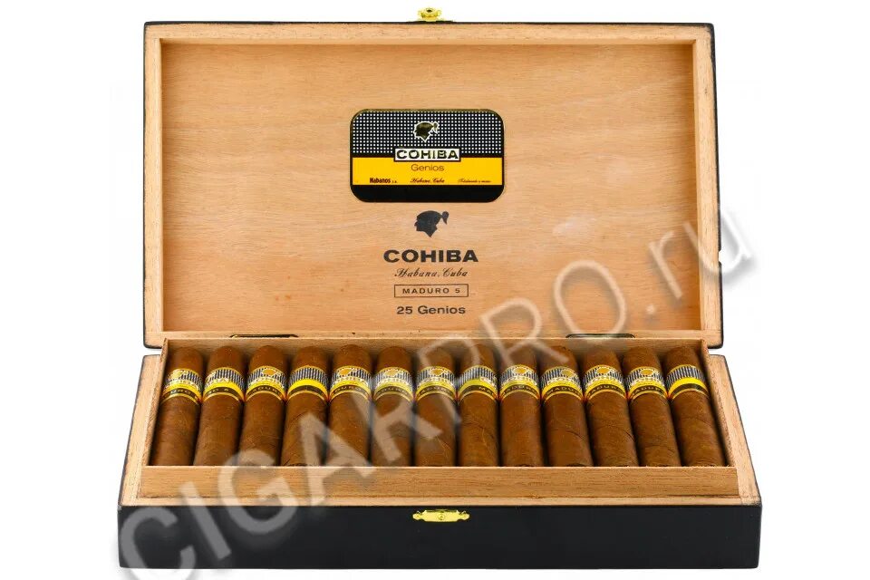Коиба мадуро 5. Сигары мадуро с. Коиба робустос. Сигары cohiba maduro 5. Cohiba 5.