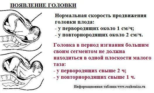 39 недель признаки родов. Период предвестников родов. Опускание ребенка в родах. Начало схваток интервал у повторнородящих.