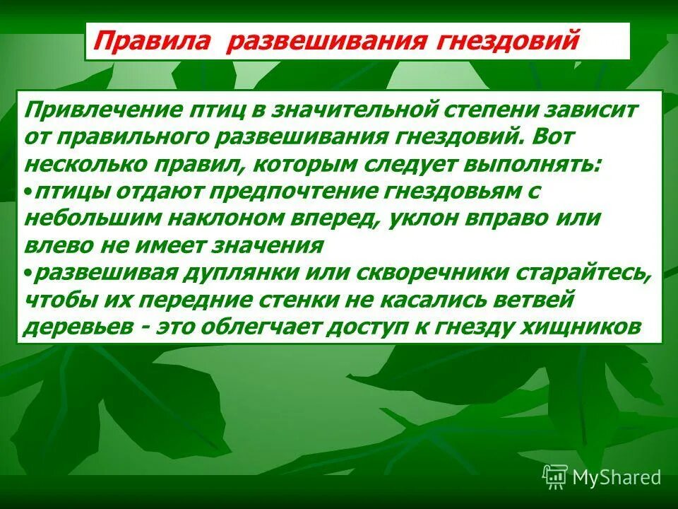 паронимы гнездовье. паронимы упражнения. паронимы гнездовье. паронимы и их употребление. паронимы егэ.