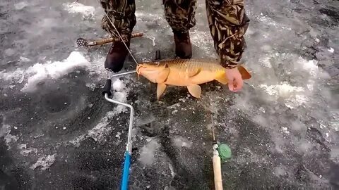 Рыбалка зеркальный