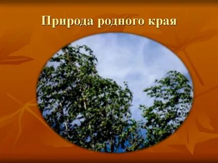 Изучаю природу родного края