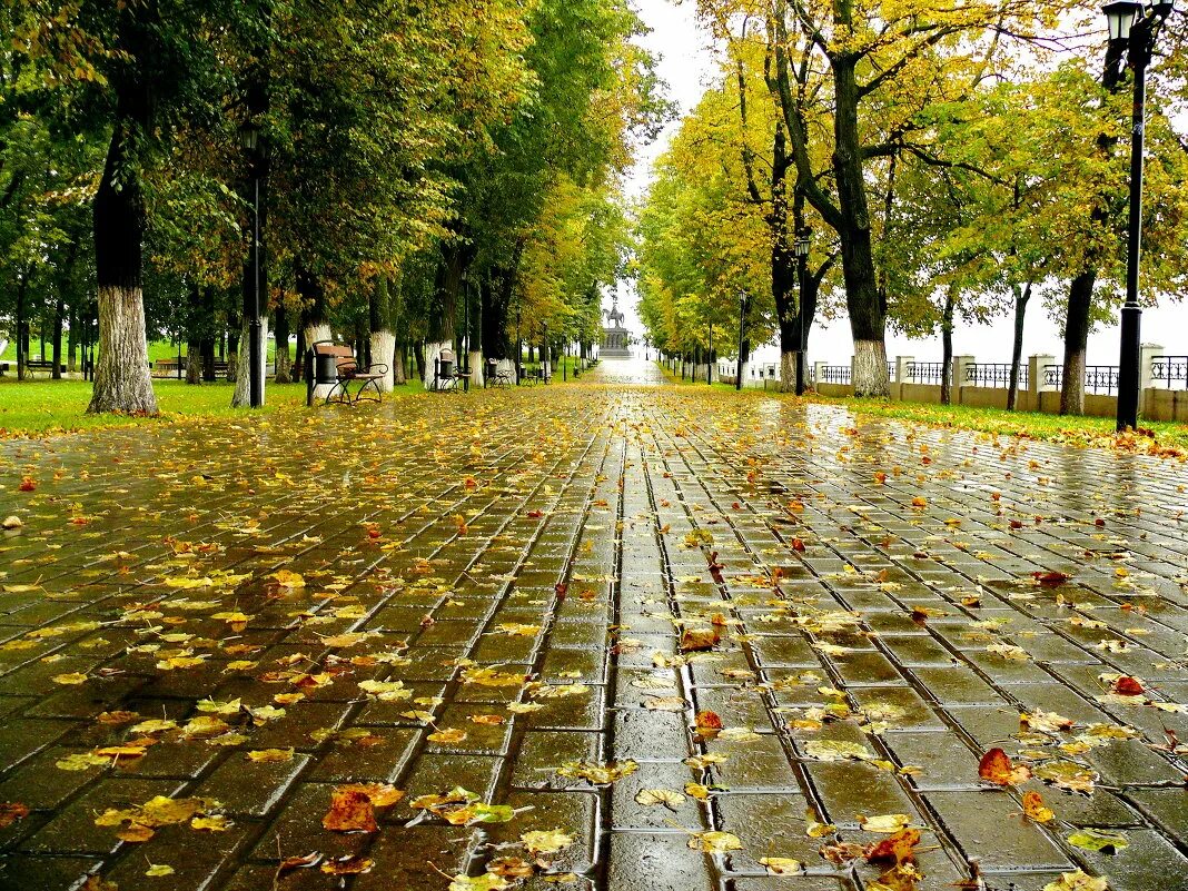 Погода конец сентября октябрь. Осень дождь. Осенний город. Осень в городе. Осенний дождь в городе.