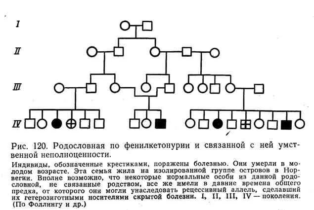 Сахарный диабет родословная. Родословная фенилкетонурии. фенилкетонурия тип наследования родословная. схема наследования фенилкетонурии. фенилкетонурия родословная семьи.