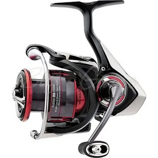 Daiwa fuego