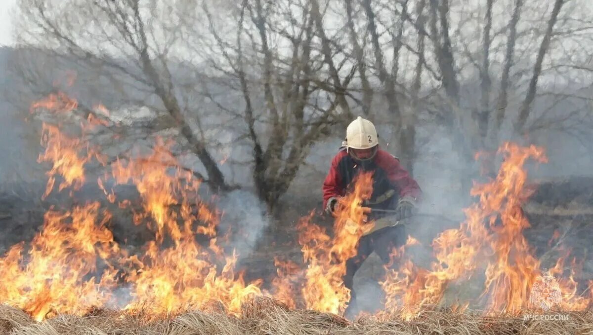 Пожароопасный период. Пожар в лесу МЧС. Пал травы МЧС. Ландшафтный пожар.