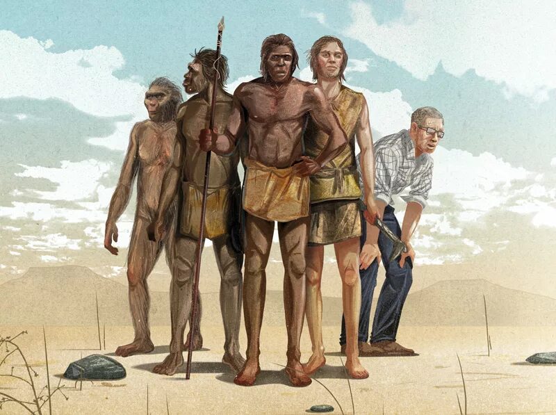 Хомо сапиенс кроманьонец. Образ жизни людей современного типа. Образ жизни людей современного типа. Человек разумный homo sapiens. Образ жизни людей современного типа.