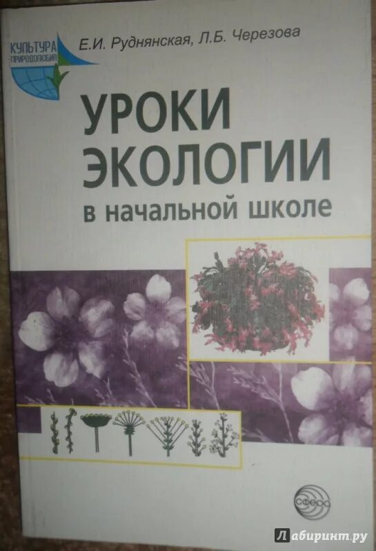 Экологический урок 10 класс. Урок экологии в начальной школе. Урок экологии в школе. Урок по экологии в начальной школе. Книги по экологии для начальной школы.