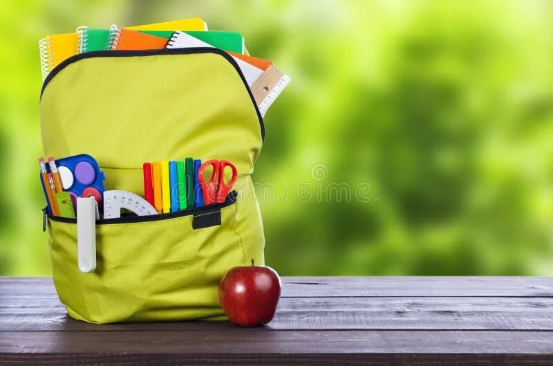 Modern Green Backpack in School for Girl and Teenager with Flowers Isolated 3d R