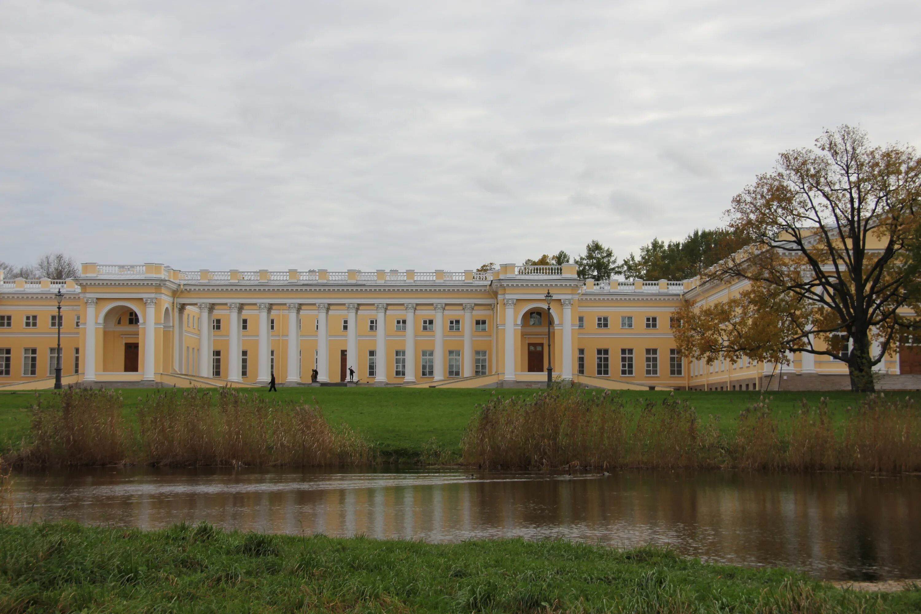 Царское село Санкт-Петербург Александровский дворец. Александровский дворец Камерон. Александровский дворец в Пушкине. Александровский дворец в Царском селе фото. Александровский дворец сайт