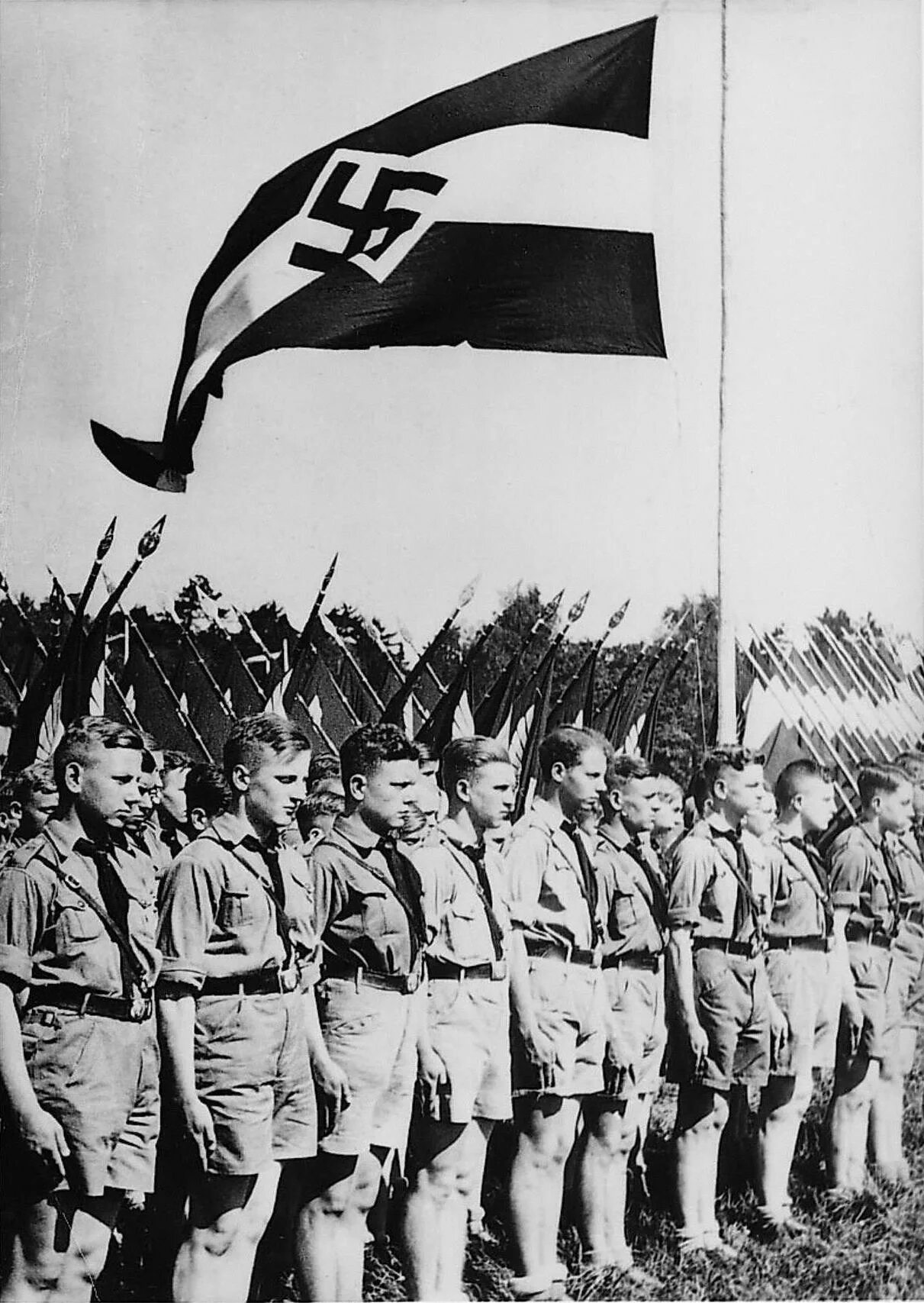 Гитлерюгенд википедия. Гитлерюгенд 1939.