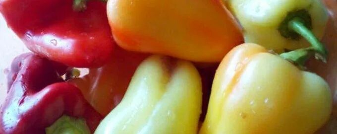 Перец становится горьким. Перец стручковый острый. Горький перец длинноплодный сорт. Перец болгарский рамиро. Перец горький полуострый.
