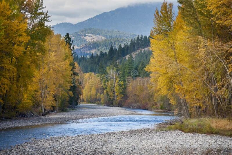 Download wallpaper autumn, river, treatment, section nature in resolution 1536x8