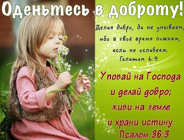 Добро тепло в москве. Оденьте сердце в светлые одежды что сотканы из тёплой доброты. оденьте сердце в светлые одежды.